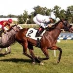 Tricky Escape powers to G3 Dick Memorial win