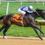 Delaware Park horses to watch: July 12, 2018