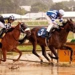 Johan Rosado: Learning from dad, and experience
