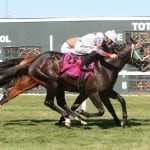 Tricky Escape powers to G3 Dick Memorial win