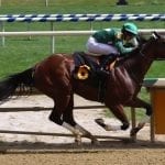 “Stronger, more mature” Good Magic easily best in Haskell