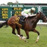 Thorpe riding Dr. Feelgood to prominence