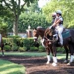 Horsemen’s groups call for greater due process