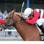 Delaware Park 2018 horses to watch: August 20