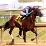 Who are the leading Midlantic trainers?