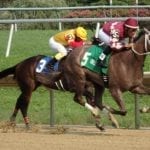 Vets: Time off indicated for horses in Navarro, Servis barns