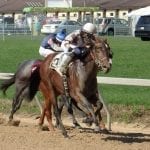 Optimism high as Timonium set to open