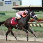 MATCH Series: Final weekend to tell the tale