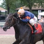Laurel Park Notes: Free Kitty graduates in 14th try