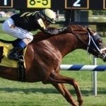 Optimism the order of the day on eve of Fasig-Tipton yearling sale