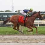 Meadowlands cancels Friday all-turf card