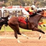 From the Spa: September 2 Midlantic-breds in Saratoga stakes
