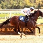 In Focus: Presque Isle Mile