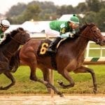 Altamura vanned off after Oakley victory