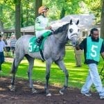 Jose Angel Garcia turning hard work into wins