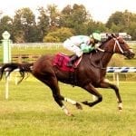 Delaware Park 2018 horses to watch: September 8