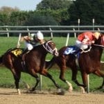 Rider Wes Hamilton gunning for Eclipse laurels