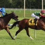Milestone achieved: 6500 wins for Leatherbury
