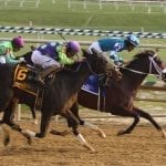 First-out winners Parisian Diva, Amelia Bedelia top Rachel’s Turn