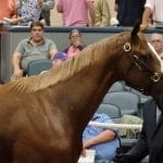 McCarthy uninjured after stretch run incident