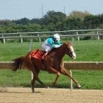 Md. Million Classic: Trainers Voss, Maldonado approaching from different directions