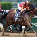 Report of mares bred shows 2019 declines