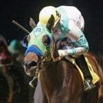 Delaware Park 2018 horses to watch: October 8