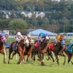 Md Million: Miss Nondescript give sire Mosler first stakes win