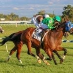 Seeing double on Maryland Million day