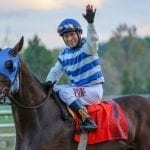 No Bull Addiction back for seconds in Md. Million Turf
