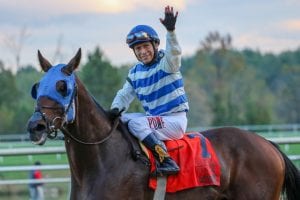 Saratoga Bob