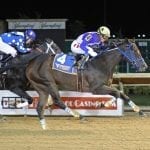 WVBC: Spring Lass surprises for Armstrong’s two-horse stable