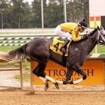 Stakes winner Our Braintrust back on worktab