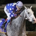 Wesley Ward has trio pointed to Laurel juvenile stakes