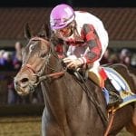 Late Night Pow Wow dominates Willa on the Move