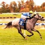 Positivist “digs in” to break maiden in second start