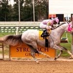 Delaware Park 2018 horses to watch: October 6