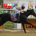 Lewisfield sizzles in MD Million Sprint