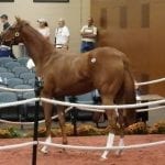Delaware Park adds day during final week of racing