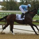 Seeing double on Maryland Million day
