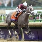 Busy weekend looms for Top Midlantic-bred Poll runners