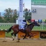 Maryland Jockey Club to seek to add days, modify stakes schedule