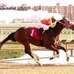 Moonlit Song tops My Sister Pearl field