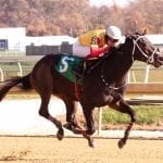 Trevor Triple: Scrap Copper gives McCarthy three stakes wins