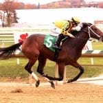 Breeders’ Cup: Ladies weekend as fillies steal the show