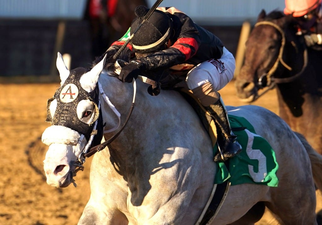 Unbridled Juan