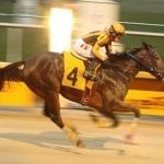 Preakness Memories: Spectacular Bid, greatest to look through a bridle