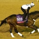 Delaware: Stolen horses, unlicensed participants, and more from stewards