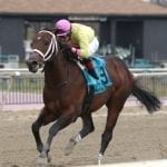Md-bred maiden claiming waiver mothballed
