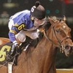 Pegasus World Cup: Seeking the Soul, True Timber added to mix